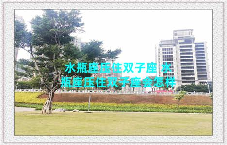 水瓶座压住双子座 水瓶座压住双子座会怎样